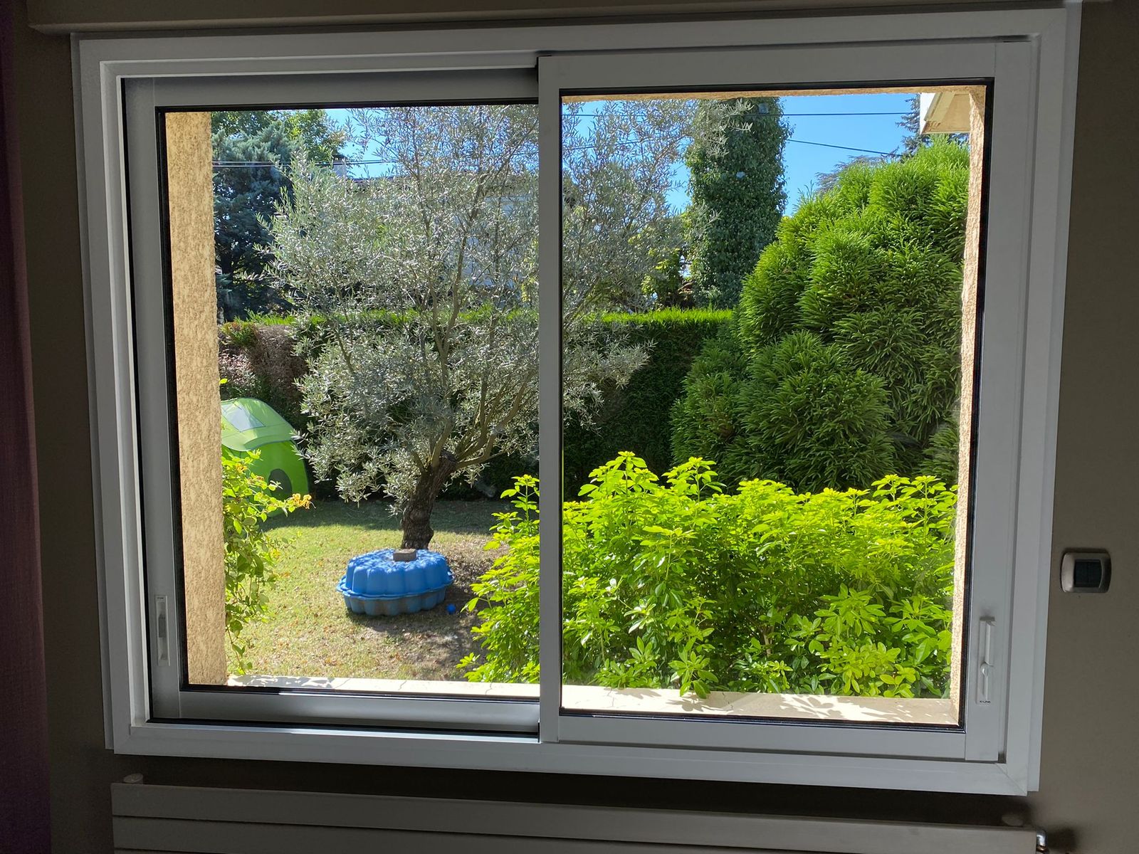 Fenêtre coulissante blanche donnant sur un jardin arboré avec un olivier