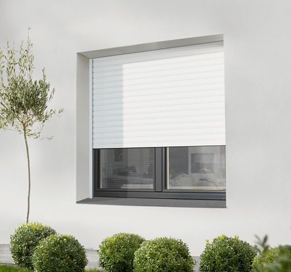 Volet roulant blanc à demi baissé sur une fenêtre de façade contemporaine, avec un olivier en pot